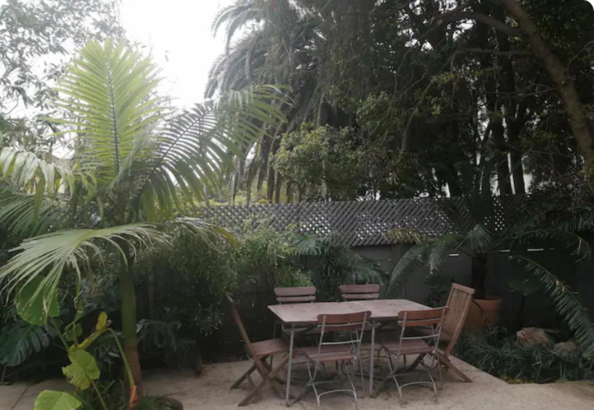 开普敦 开普标准旅馆酒店 外观 照片